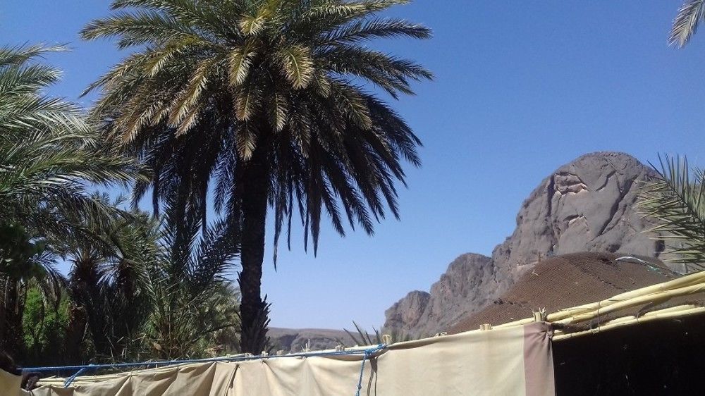 Auberge Restaurant Tissili " Oasis De Fint" Eksteriør billede